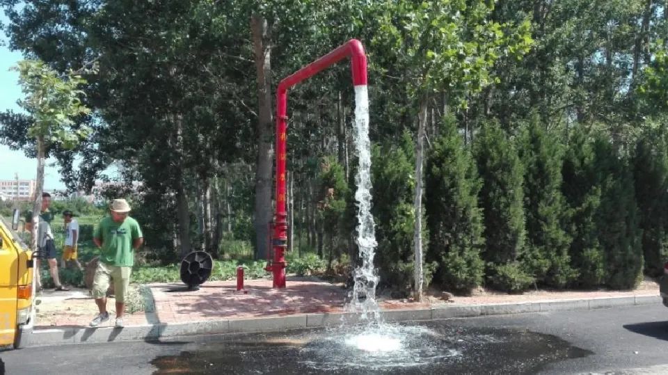 1715559734495619.jpg